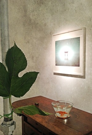 Image-37.jpg