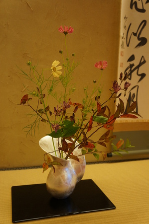 DSC08104.JPG