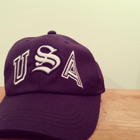 votecap1.JPG