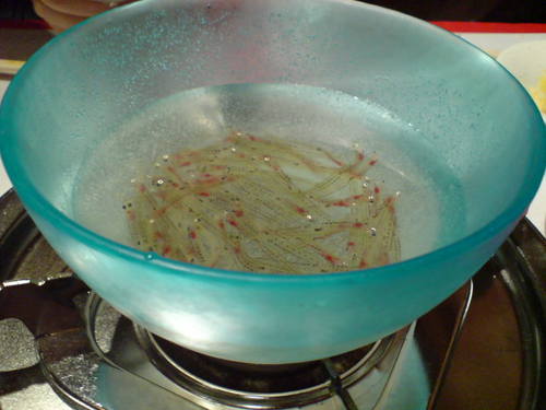 DSC00268.JPG