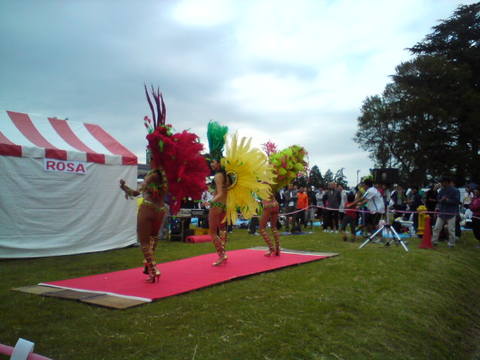 DSC00329H.JPG