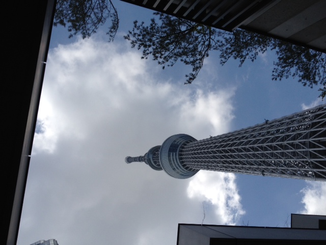photo.JPG