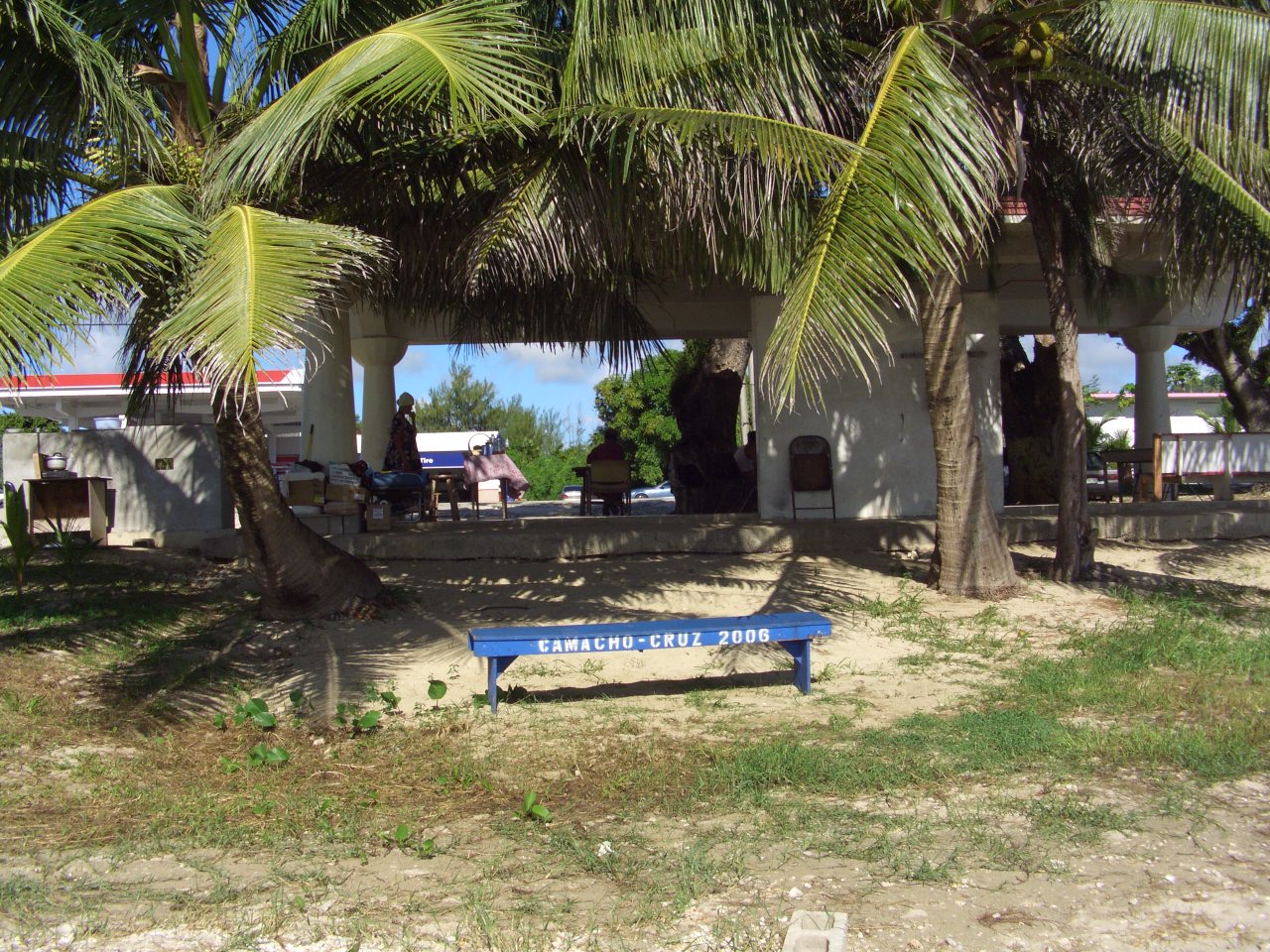 07062816.CIMG0373.JPG