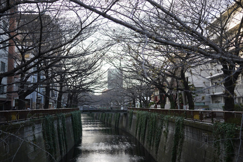 sakura2013001.jpg