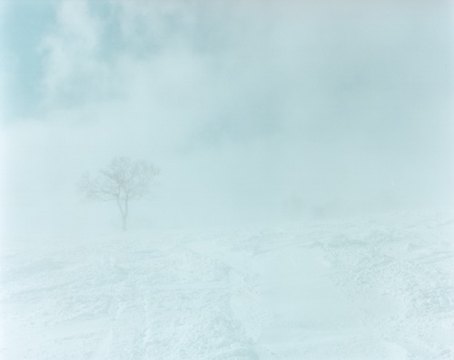 makiguchi-photo2.jpg