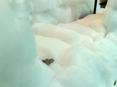 jedi_10162009501.jpg