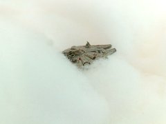jedi_10162009502_2.jpg