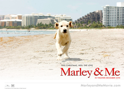 jedi_Marley_and_Me_091020.jpg