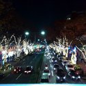 Harajyuku　OMOTESANDO