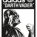 Star Wars fan
