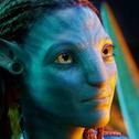 『AVATAR in 3D』2nd