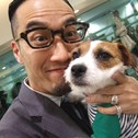 Jack_Russell_Terrier