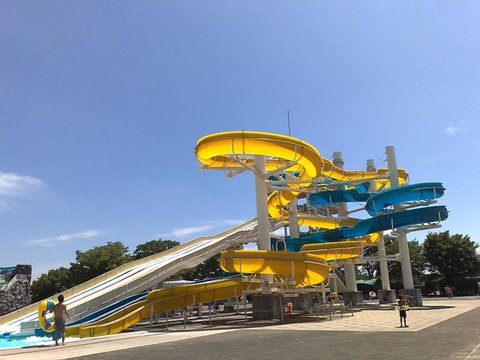 jedi_08072010972.jpg