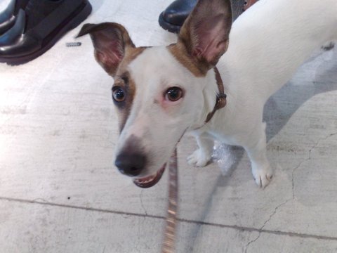 jedi_090520101038.jpg