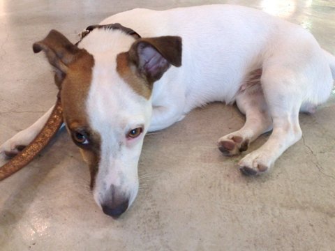 jedi_090520101039.jpg