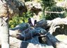 jedi_05042011.jpg