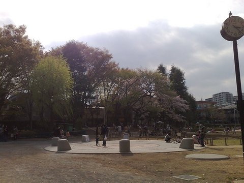 jedi_10042011061.jpg