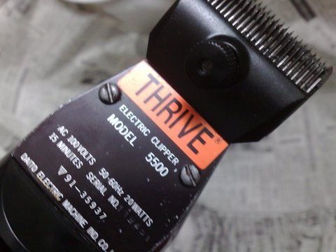 27052011155.jpg