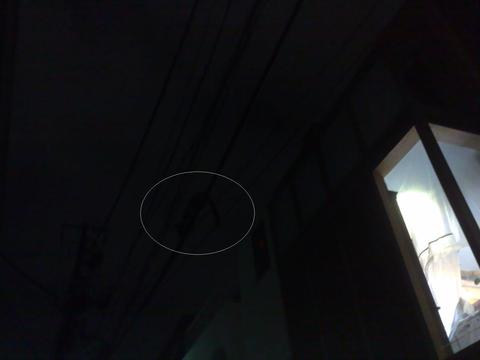 03102011549.jpg