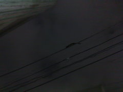 03102011550.jpg