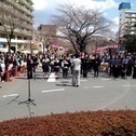 Junior Brass @ 文京さくらまつり