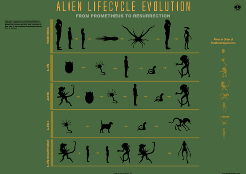 alien_evo.jpg