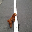父の日だった