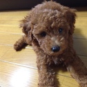 2013 1st. JULY ONE YEAR OLD