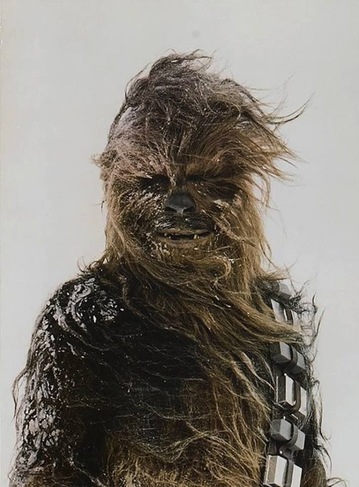 jedi_3013_09_13_trimming (6).JPG