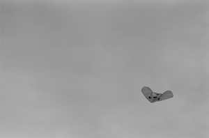 89120011.JPG