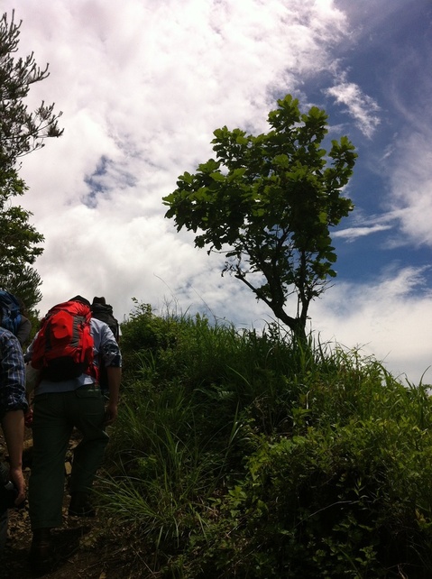 20130625_175212.jpg