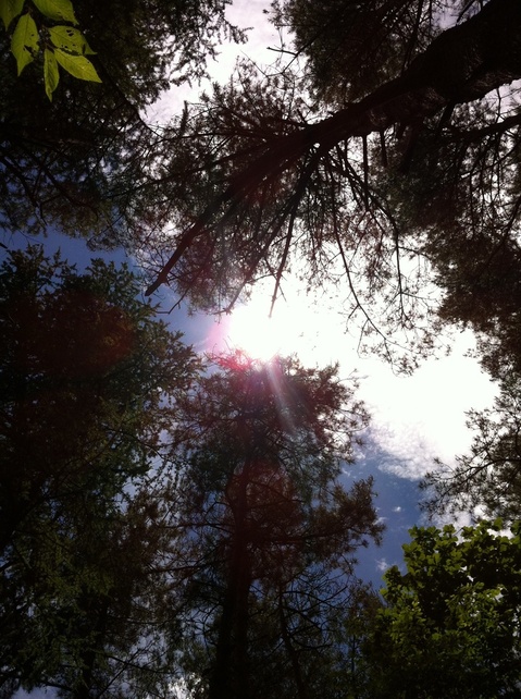 20130625_175902.jpg