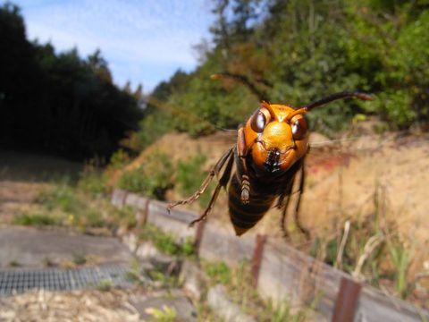 20131118_202408.jpg