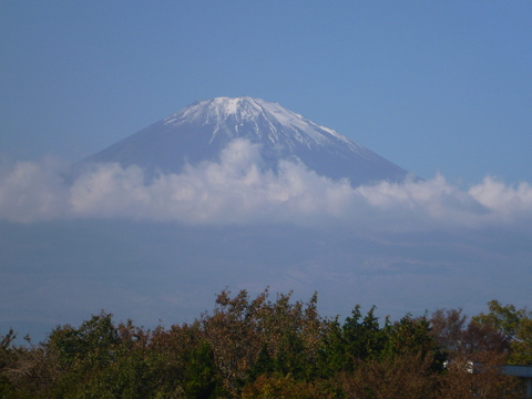 P1000182.JPG