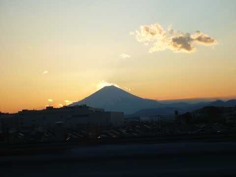 P1000557.JPG