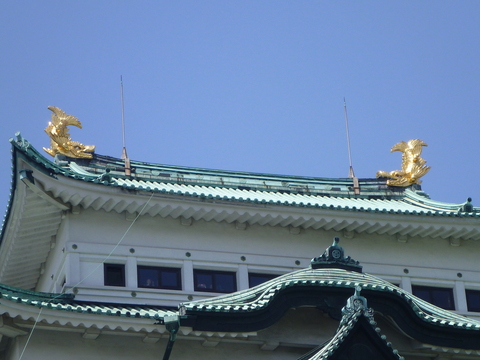 P1000624.JPG