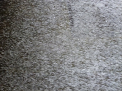 P1000673.JPG