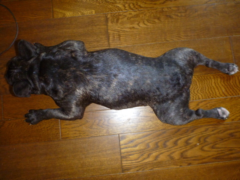 P1000878.JPG