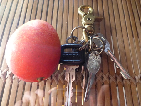 P1000891.JPG