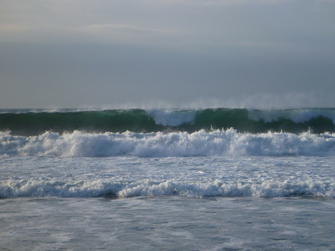 P1000899.JPG