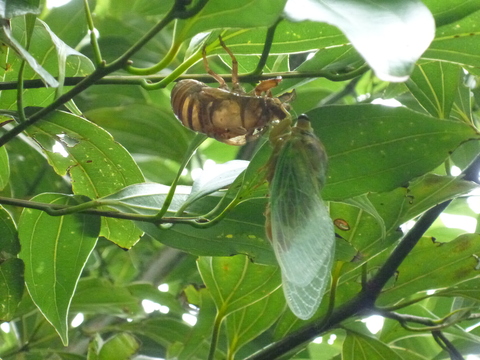 P1000915.JPG