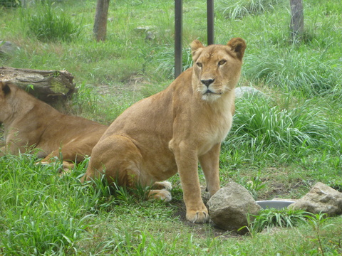P1000969.JPG