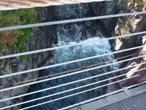 P1010067.JPG