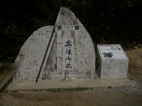 P1010286.JPG