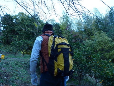 P1010352.JPG