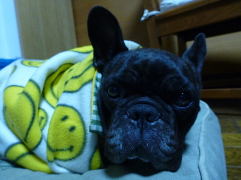 P1010559.JPG