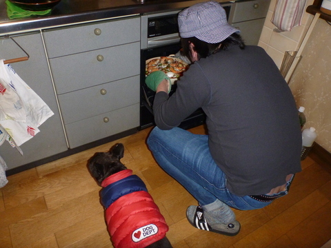 P1010591.JPG