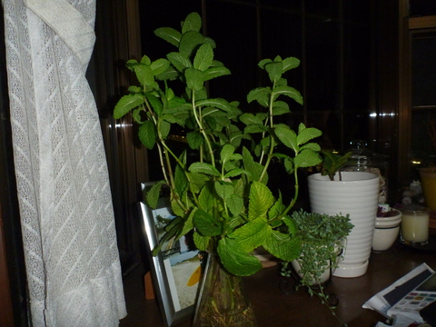 P1010623.JPG