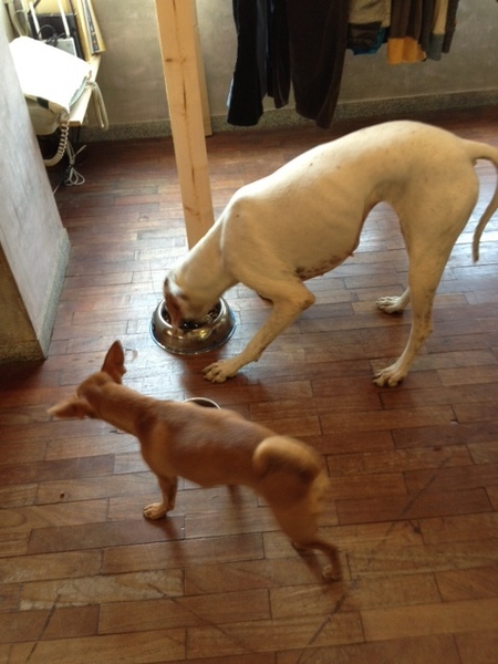 20130515_015507.JPG