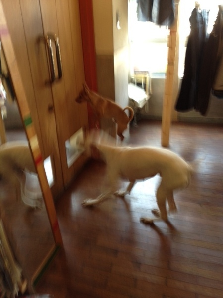 20130515_015629.JPG